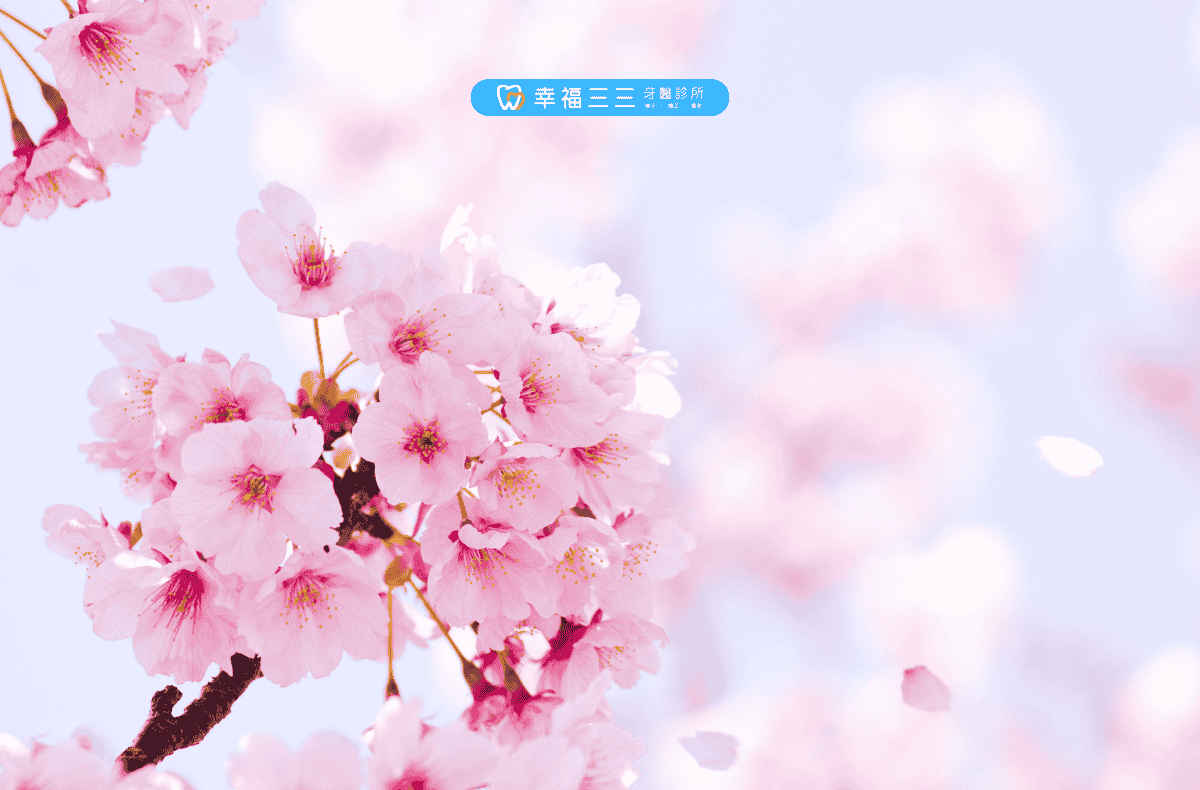 2025-qingming-festival